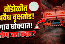 ‘निसर्ग वाचवा, गाव वाचवा’ तोंडोळीत अवैध वृक्षतोडीविरोधात तरुणांचा एल्गार