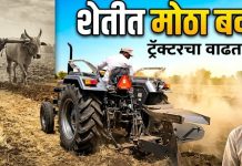 परभणीत शेती मशागतीला वेग; बैलांची जागा घेत ट्रॅक्टरचा वाढता वापर