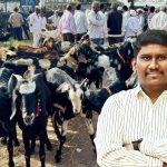 बकरी ईद निमित्त बोकड वाहतुकीवरील कारवाई थांबवा – शाहरुख मुलाणी