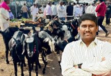 बकरी ईद निमित्त बोकड वाहतुकीवरील कारवाई थांबवा – शाहरुख मुलाणी