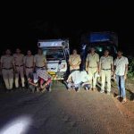 ब्रह्मपुरी पोलिसांची मोठी कारवाई कत्तलीसाठी नेण्यात येणाऱ्या २० गोवंशाची सुटका