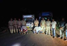 ब्रह्मपुरी पोलिसांची मोठी कारवाई कत्तलीसाठी नेण्यात येणाऱ्या २० गोवंशाची सुटका