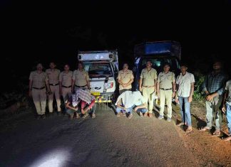 ब्रह्मपुरी पोलिसांची मोठी कारवाई कत्तलीसाठी नेण्यात येणाऱ्या २० गोवंशाची सुटका