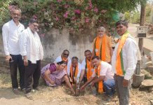 जातोडा-बोरगाव येथे पर्यावरण दिनानिमित्त भाजपातर्फे वृक्षारोपण