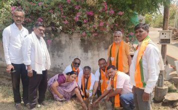 जातोडा-बोरगाव येथे पर्यावरण दिनानिमित्त भाजपातर्फे वृक्षारोपण