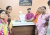 एकल महिलांची ग्रामपंचायत मध्ये स्वतंत्र नोंदणी करून घेण्यासंदर्भात गटविकास अधिकारी यांना निवेदन