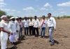 मातीशी नाळ जपणारा अधिकारी ; जरुडमध्ये तहसीलदार शेळकेंनी धरले हाती औताचे रूमने