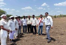 मातीशी नाळ जपणारा अधिकारी ; जरुडमध्ये तहसीलदार शेळकेंनी धरले हाती औताचे रूमने