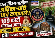 वन विभागात खळबळ! १०९ कोटींच्या वृक्षलागवड घोटाळ्याची CBI चौकशी; उच्च न्यायालयाचे आदेश