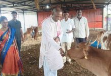 पांगरा येथील बनामाई गोशाळेला विहिप राष्ट्रीय प्रवक्त्याची सदिच्छा भेट