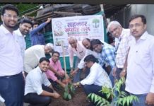 पर्यावरण संवर्धन आणि सामाजिक उत्तरदायित्वाचा दिला संदेश