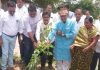 शिक्षकांचा वृक्षारोपण करून सेवापूर्ती सोहळा संपन्न.