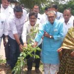 शिक्षकांचा वृक्षारोपण करून सेवापूर्ती सोहळा संपन्न.