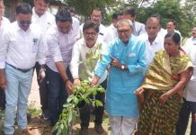 शिक्षकांचा वृक्षारोपण करून सेवापूर्ती सोहळा संपन्न.