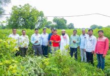 महसूल दिन (एक ऑगस्ट ) – इतिहास , उगम , छत्रपती शिवाजी महाराजांच्या दूरदृष्टीपासून आधुनिक डिजिटल महसूल प्रशासनापर्यंतचा प्रेरणादायी प्रवास