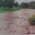 संततधारेमुळे देऊळगाव राजा तालुक्यातील शेतकरी सुखावला.
