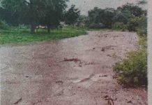 संततधारेमुळे देऊळगाव राजा तालुक्यातील शेतकरी सुखावला.