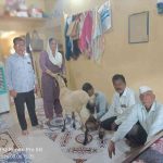वाळूजमध्ये ‘शब्बो’चा मायेचा चमत्कार; सात वर्षांपासून मातृत्वाची आस, तरीही रोज देते दीड-दोन लिटर दूध!