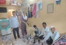 वाळूजमध्ये ‘शब्बो’चा मायेचा चमत्कार; सात वर्षांपासून मातृत्वाची आस, तरीही रोज देते दीड-दोन लिटर दूध!